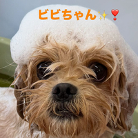画像1015
