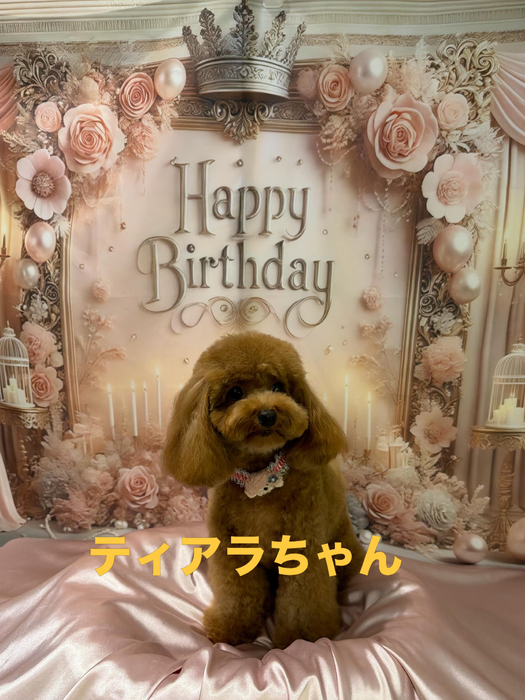 画像1020