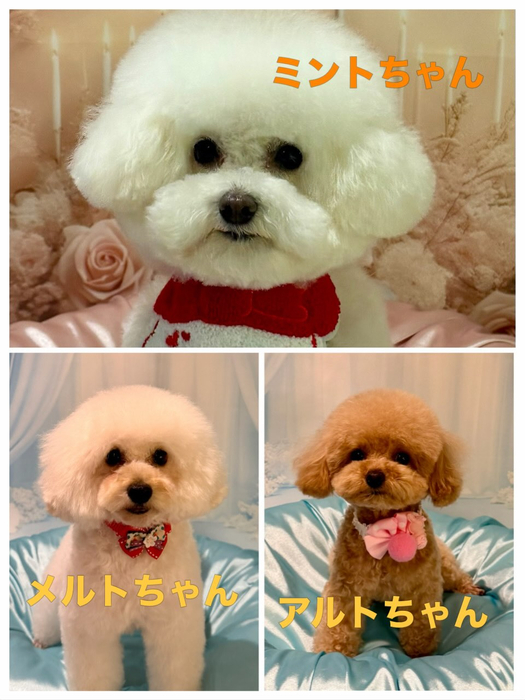 画像1024