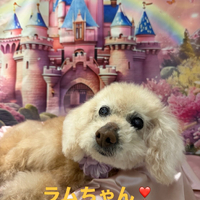 画像1038