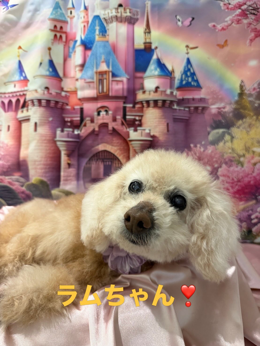 画像1038