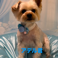 画像1042