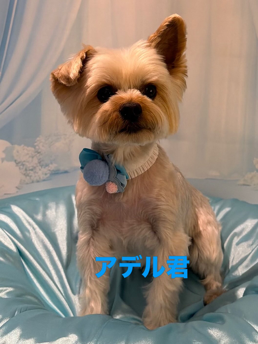 画像1042