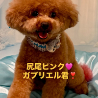 画像1050