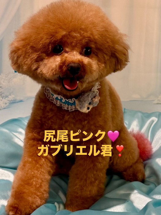 画像1050