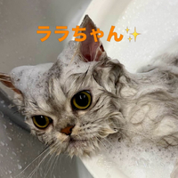 画像1054