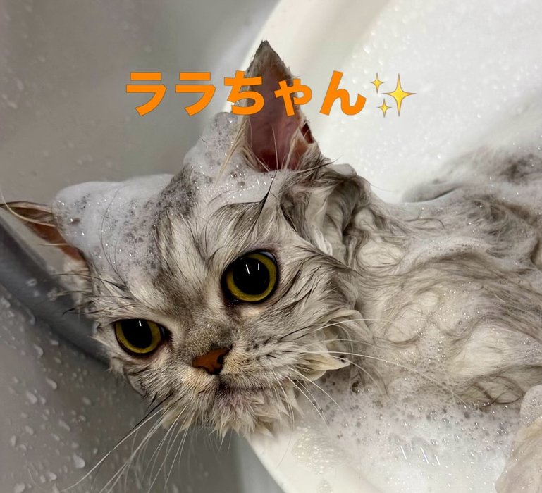 画像1054