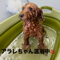 画像1068