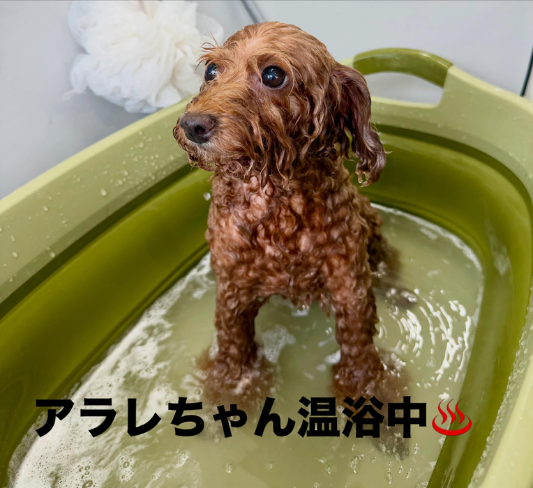 画像1068