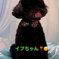 画像1088