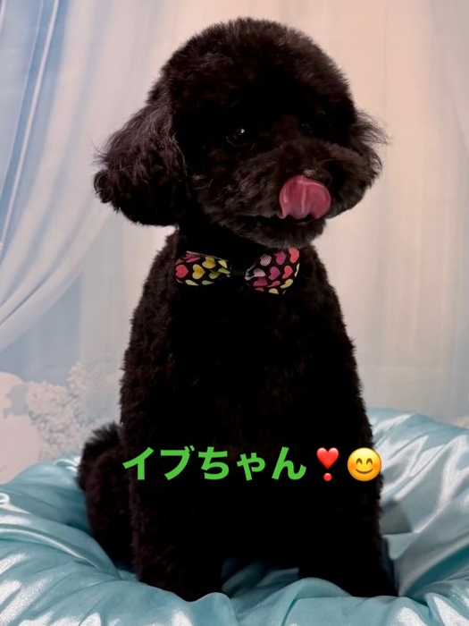 画像1088