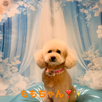 画像1107