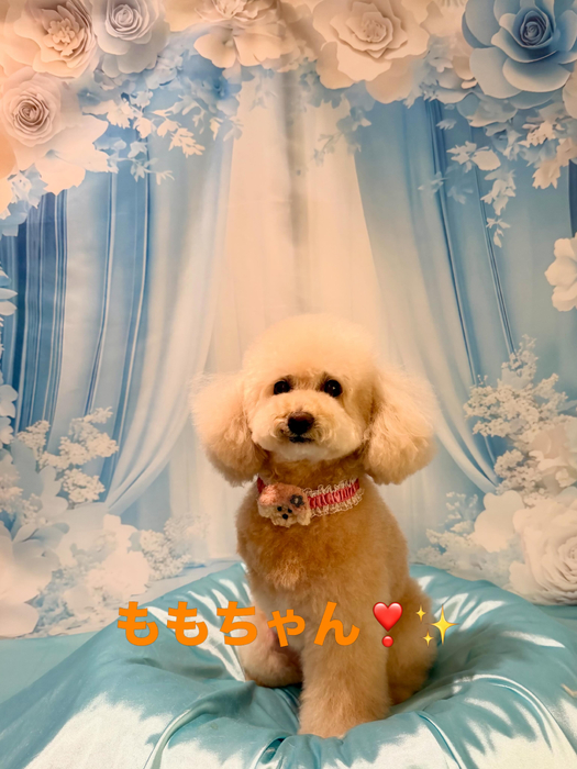 画像1107