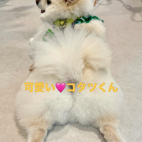 画像1129