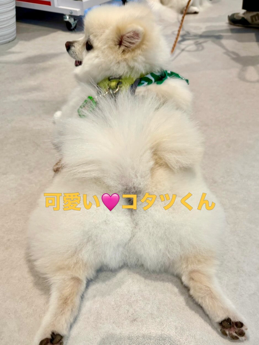 画像1129