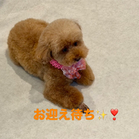 画像1139