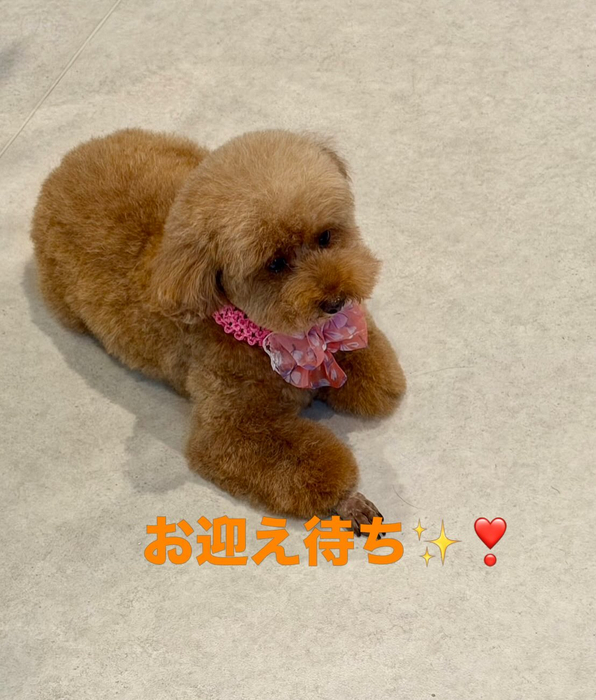 画像1139