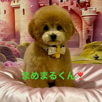 画像1165