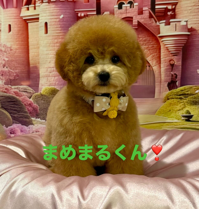 画像1165