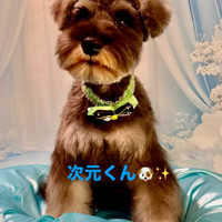 画像1171