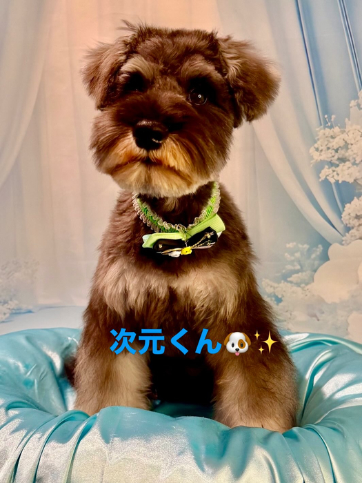 画像1171