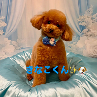 画像1175