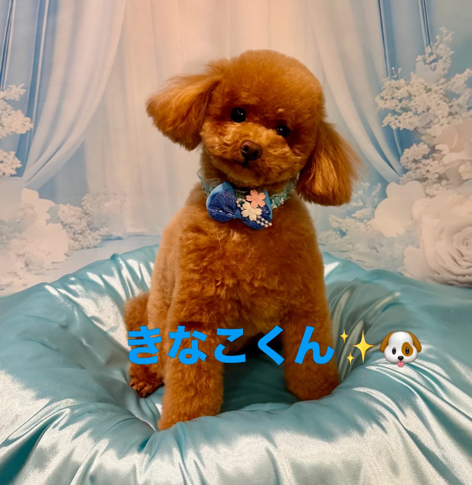 画像1175