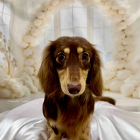 画像1190