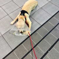 画像1238