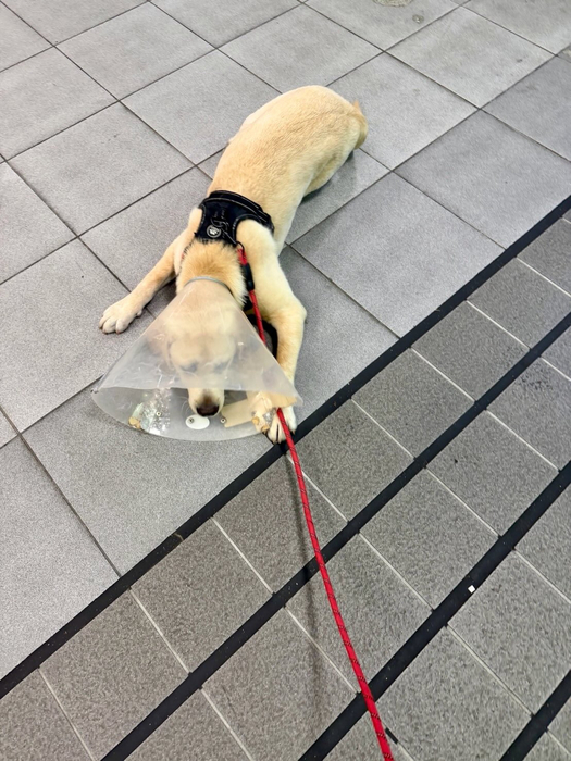 画像1238