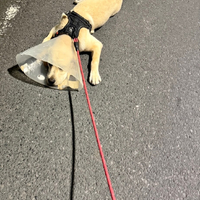 画像1240