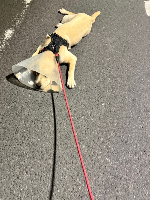 画像1240