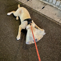 画像1241