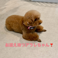 画像1243