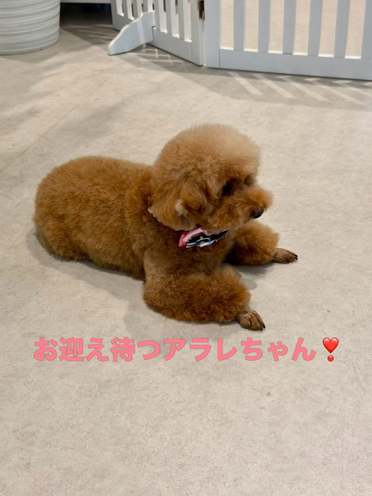 画像1243