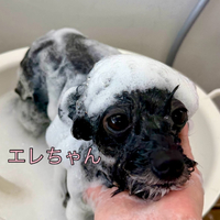 画像1302