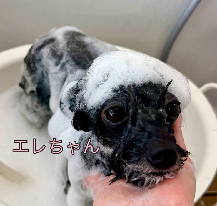 画像1302
