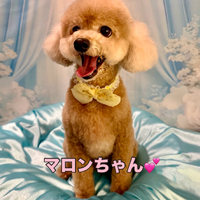 画像1324