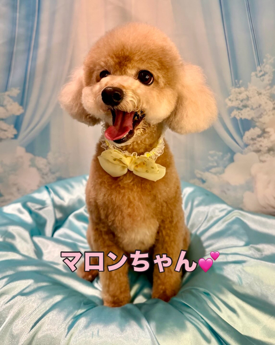画像1324