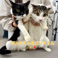 画像1329