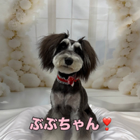 画像1336