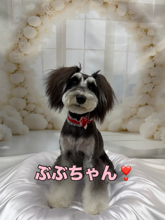 画像1336