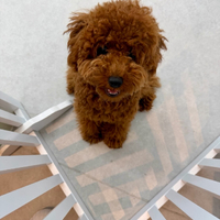 画像1342