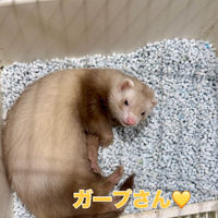画像1358