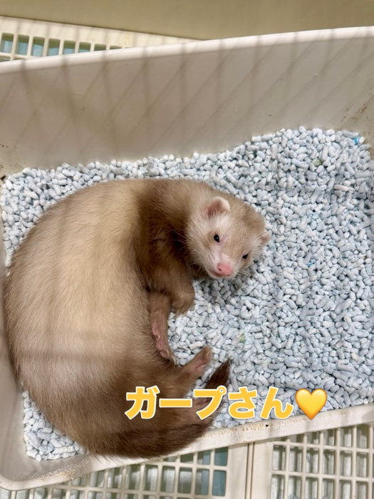 画像1358