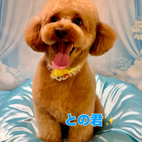 画像1367