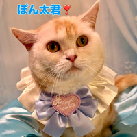 画像1375
