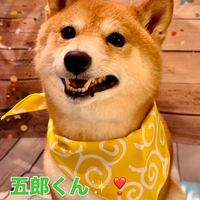 画像1379