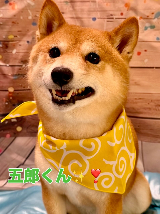 画像1379