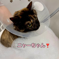画像1389